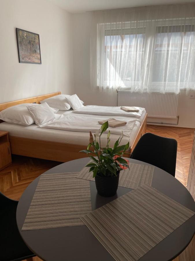 Bogoly Apartman Appartement Tokaj Buitenkant foto