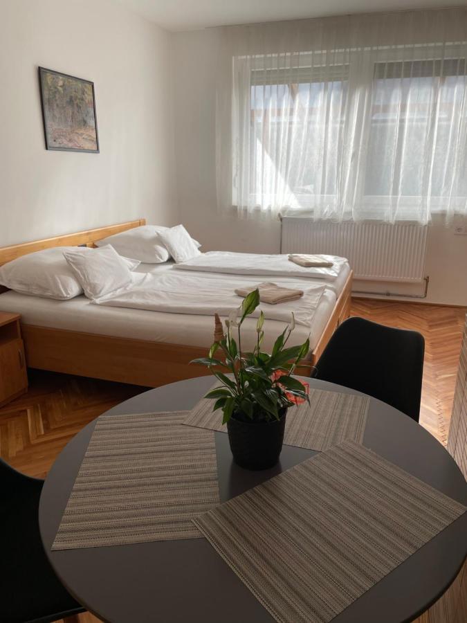 Bogoly Apartman Tokaj Buitenkant foto