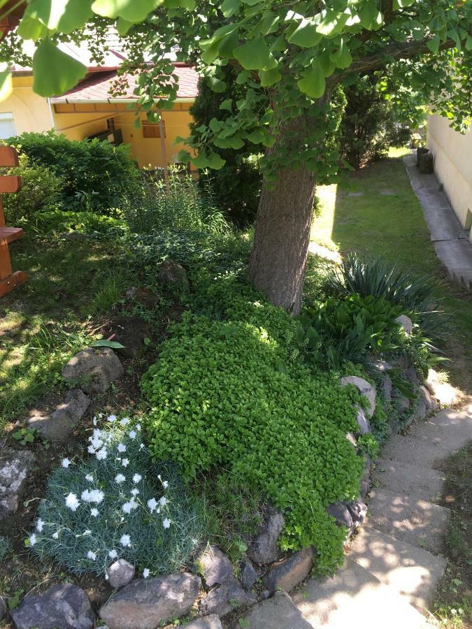 Bogoly Apartman Tokaj Buitenkant foto