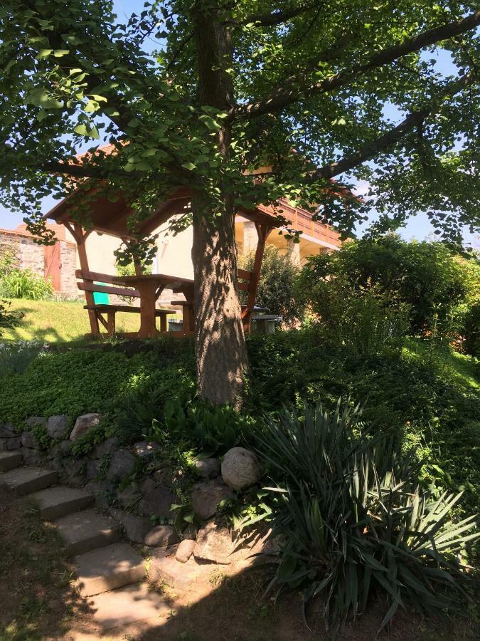 Bogoly Apartman Tokaj Buitenkant foto